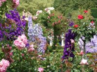 Flowers - Butchart Gardens (British Columbia, Canada)