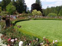 Rose gardens - Butchart Gardens (British Columbia, Canada)