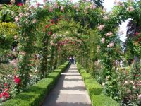 Flowers - Butchart Gardens (British Columbia, Canada)