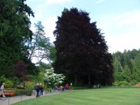 Gardens - Butchart Gardens (British Columbia, Canada)