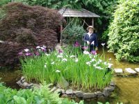 Japanese garden - Butchart Gardens (British Columbia, Canada)