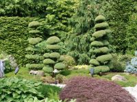 Japanese garden - Butchart Gardens (British Columbia, Canada)
