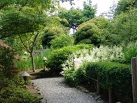 Japanese garden - Butchart Gardens (British Columbia, Canada)