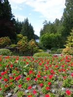 Gardens - Butchart Gardens (British Columbia, Canada)