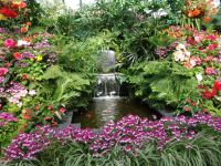 Flowers - Butchart Gardens (British Columbia, Canada)