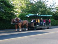 Horse drawn tour bus - Victoria (British Columbia, Canada)