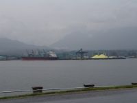 Sulphur - Stanley Park (British Columbia, Canada)