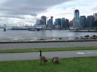 Vancouver - Stanley Park (British Columbia, Canada)