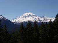Mt Rainier - Mt Rainier National Park (Washington, USA)