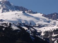 Mt Rainier - Mt Rainier National Park (Washington, USA)