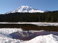 Mt Rainier in Reflection Lake - Mt Rainier National Park (Washington, USA)