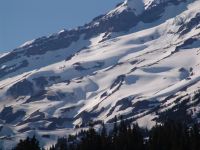 Mt Rainier - Mt Rainier National Park (Washington, USA)