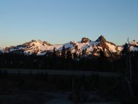 Mazama Ridge - Mt Rainier National Park (Washington, USA)