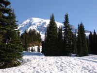 Mt Rainier - Mt Rainier National Park (Washington, USA)