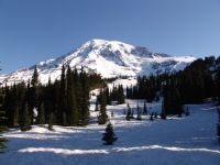Mt Rainier - Mt Rainier National Park (Washington, USA)