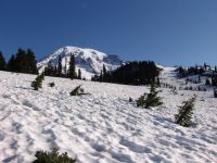 Mt Rainier - Mt Rainier National Park (Washington, USA)