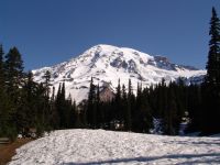 Nisqually Vista - Mt Rainier National Park (Washington, USA)