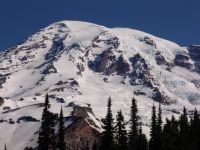 Mt Rainier - Mt Rainier National Park (Washington, USA)