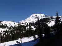 Mt Rainier - Mt Rainier National Park (Washington, USA)