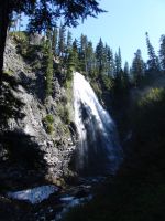Narada Falls - Mt Rainier National Park (Washington, USA)