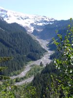 Nisqually Glacier and valley - Mt Rainier National Park (Washington, USA)