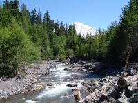 Kautz Creek - Mt Rainier National Park (Washington, USA)
