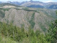 Devastation in the forest caused by the 1980 blast - Mount St Helens National Volcanic Monument (Washington, USA)