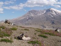 Mt St Helens - Mount St Helens National Volcanic Monument (Washington, USA)