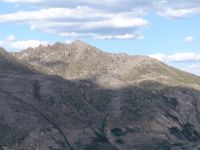 Devastation in the forest caused by the 1980 blast - Mount St Helens National Volcanic Monument (Washington, USA)