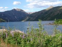 Coldwater Lake - Mount St Helens National Volcanic Monument (Washington, USA)