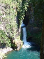 Toketee Falls - Route 138 east (Oregon, USA)