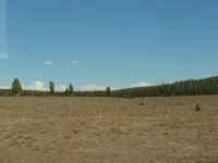 Pumice Desert - Crater Lake National Park (Oregon, USA)