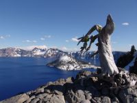 Crater Lake - Crater Lake National Park (Oregon, USA)