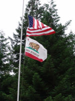 California state flag - Redwood National Park (California, USA)