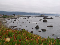 Coast at Crescent City - Crescent City (California, USA)