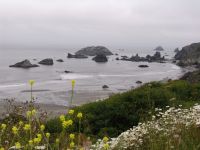 Coastline - Near Brookings (Oregon, USA)