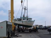 Lowering the boat onto a trailer - Port Orford (Oregon, USA)