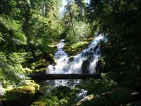 Proxy Falls - Route 242 east (Oregon, USA)