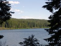Clear Lake - Clear Lake (Oregon, USA)