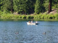 Geese and rowers on Clear Lake - Clear Lake (Oregon, USA)