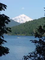 Mt Jefferson over Detroit Lake - Detroit Lake (Oregon, USA)