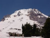 Mt Hood - Mt Hood (Oregon, USA)
