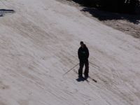 Skier skiing *backwards* down Mt Hood - Mt Hood (Oregon, USA)