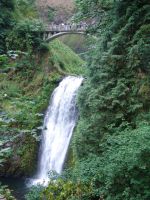 Multnomah Falls - Multnomah Falls (Oregon, USA)