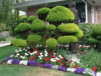 Gardens - Seattle (Washington, USA)