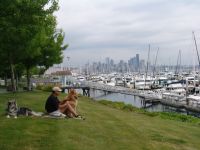 Seattle from north of the city - Seattle (Washington, USA)