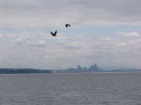 Seattle from Bainbridge Island - Bainbridge Island (Washington, USA)