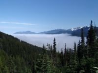 Looking down Morse Creek - Olympic National Park (Washington, USA)