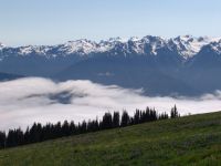Olympic Mountains - Olympic National Park (Washington, USA)