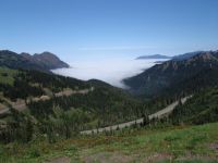 View north from Hurricane Ridge - Olympic National Park (Washington, USA)